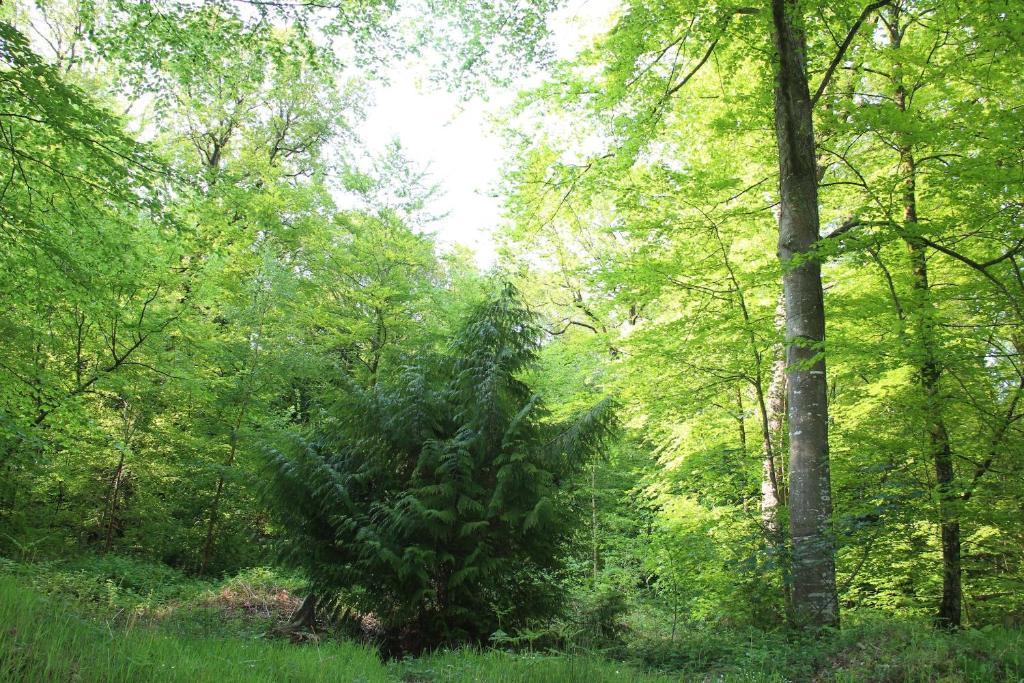 Albert Premier Hotel Bagnoles-de-l'Orne Экстерьер фото